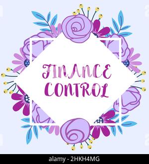 Cartello di testo che mostra il controllo finanziario. Procedure di approccio aziendale che vengono implementate per gestire le finanze cornice bianca decorato con Abstract modernizzato Foto Stock