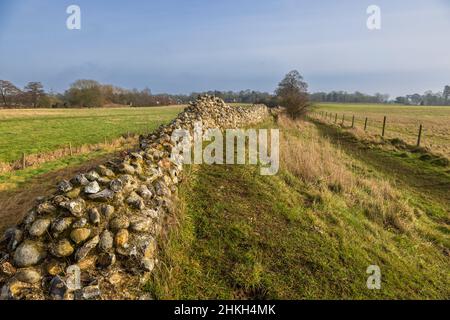 Lungo la rovinata parete difensiva di Venta Icenorum, il sito della capitale romana di Norfolk, Inghilterra Foto Stock