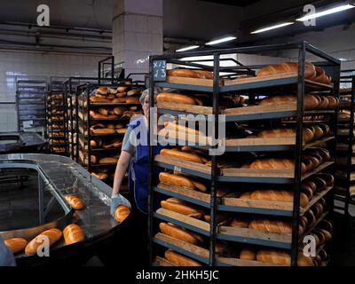 Kazan, Russia. Febbraio 02, 2022. Un addetto alla panetteria sul nastro trasportatore. Rack di pane fresco. Pane appena sfornato. Pane fresco su una rastrelliera mobile con s Foto Stock