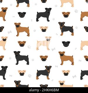 Petit Brabancon, piccoli cani belgi senza cuciture pattern. Pose diverse, colori del cappotto impostati. Illustrazione vettoriale Illustrazione Vettoriale