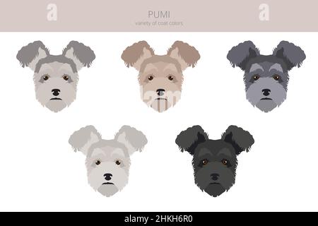 Pumi clipart. Pose diverse, colori del cappotto impostati. Illustrazione vettoriale Illustrazione Vettoriale