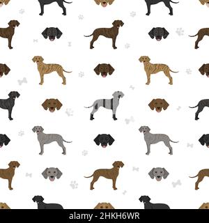 Plott Hound senza cuciture. Pose diverse, colori del cappotto impostati. Illustrazione vettoriale Illustrazione Vettoriale