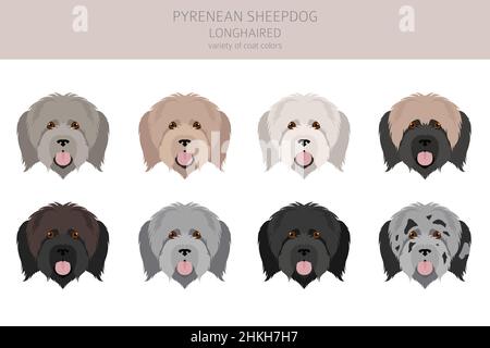 Cane da pastore dei Pirenei, clypart longhaired. Pose diverse, colori del cappotto impostati. Illustrazione vettoriale Illustrazione Vettoriale