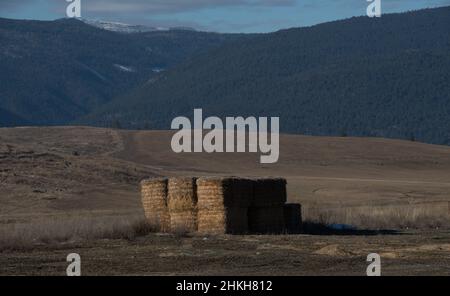 Balle di fieno quadrate grandi accatastate in campo in Wyoming montagne in fondo erba secca in campo su cavallo o bestiame ranch nel paesaggio occidentale degli Stati Uniti Foto Stock