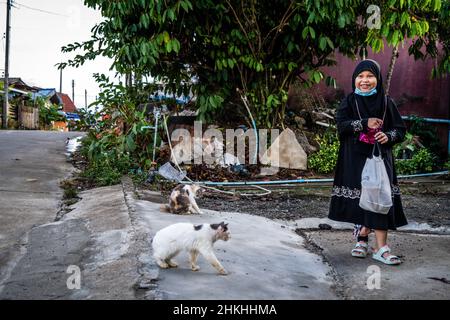 Una giovane ragazza musulmana ha visto accanto ai gatti fuori di casa sua. Vita quotidiana intorno a Betong, Provincia di Yala, Thailandia. Situato sul confine tra Thailandia e Malesia, Betong è a filo con culture miste, inflessioni colorate, arte e lussureggianti paesaggi della giungla. La provincia di Yala è stata sottoposta a un decreto di emergenza per sedare la violenza derivante da ribelli religiosi e separatisti per oltre un decennio. Anche se le province più meridionali rimangono sotto il decreto di emergenza, Betong si prepara per il turismo in quanto apre il suo primo aeroporto internazionale questo mese. Foto Stock