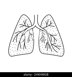 Illustrazione vettoriale disegnata a mano dei polmoni umani in stile doodle. Illustrazione carina dell'icona dei polmoni su sfondo bianco Illustrazione Vettoriale