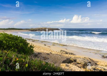 Pointe des chateaux, Grande-Terre, Guadalupa Foto Stock