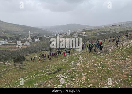 Attivisti israeliani per la pace che piantano alberi di olivo a Burin. Centinaia di attivisti di pace israeliani e palestinesi avevano piantato ulivi nel villaggio palestinese di Burin, sotto l'avamposto illegale ebraico di Givát Ronen. Due settimane prima dell'evento, un gruppo di attivisti di pace ebrei arrivati per la piantagione di olive sono stati violentemente attaccati dai giovani di Givát Ronen. Oggi, le forze dell'IDF si erano separate tra gli attivisti e i coloni. Un attivista israeliano è stato arrestato durante l'evento. Burin, Palestina. Feb 04th 2022. (Foto di Matan Golan/Sipa USA) Foto Stock