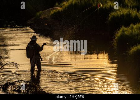 Fly Fisherman cast Line in Shallow River nel Rocky Mountain National Park Foto Stock