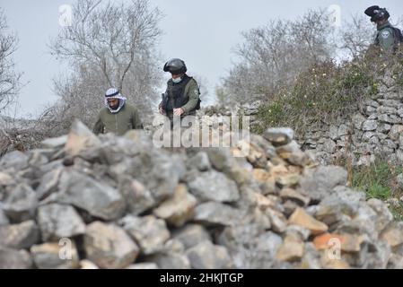 Burin, Palestina. 04th Feb 2022. Centinaia di attivisti di pace israeliani e palestinesi avevano piantato ulivi nel villaggio palestinese di Burin, sotto l'avamposto illegale ebraico di Givát Ronen. Due settimane prima dell'evento, un gruppo di attivisti di pace ebrei arrivati per la piantagione di olive sono stati violentemente attaccati dai giovani di Givát Ronen. Oggi, le forze dell'IDF si erano separate tra gli attivisti e i coloni. Un attivista israeliano è stato arrestato durante l'evento. Burin, Palestina. Feb 04th 2022. (Foto di Matan Golan/Alamy Live News) Credit: Matan Golan/Alamy Live News Foto Stock