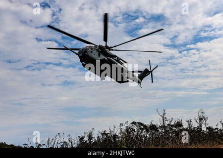 Un CH-53 Super Stallion da Marine Heavy Helicopter Squadron 466 atterra per l'inserimento dell'elicottero durante il Jungle Leaders Course (JLC) 2-22 al Jungle Warfare Training Center, Okinawa, Giappone, 1 febbraio 2022. JLC sostiene tattiche, tecniche e procedure specifiche per le operazioni di guerra nella giungla. (STATI UNITI Foto del corpo marino di Lance CPL. Natalie Greenwood) Foto Stock