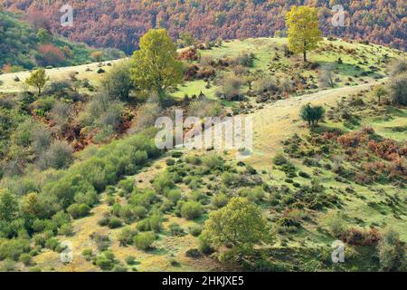 Paesaggio di montagna in Picos de Europa, Spagna, Paesi Baschi, Cantabria, Parco Nazionale Picos De Europa Foto Stock