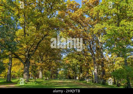 Schacky Park a Diessen al Lago Ammer, Germania, Baviera Foto Stock