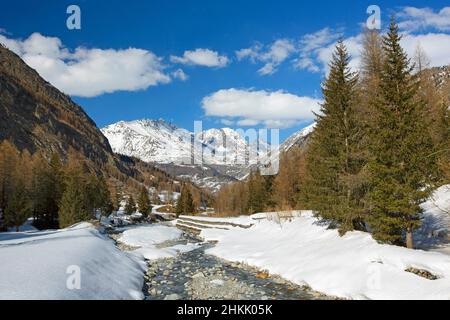 Inverno nel Parco Nazionale del Gran Paradiso, Italia, Valsavaranche, Parco Nazionale del Gran Paradiso, Valle d'Aosta Foto Stock