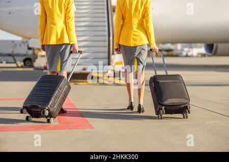Vista posteriore delle compagnie aeree con valigie di viaggio che camminano lungo il campo aereo e che si dirigano verso l'aereo Foto Stock