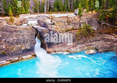 Le acque del fiume Kicking Horse attraversano questa antica roccia al Natural Bridge nel Parco Nazionale di Yoho, British Columbia, Canada. Foto Stock