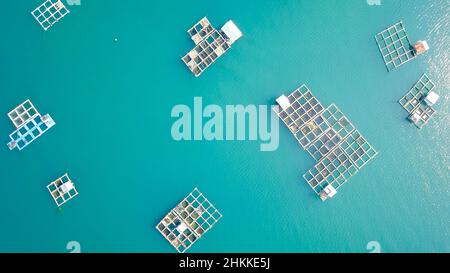 Zattere di bambù e gabbia di pesci in mare, Kampung Kerapu Situbondo, Indonesia Foto Stock