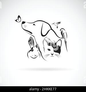 Gruppo vettoriale di animali domestici - cane, gatto, colibrì, pappagallo, camaleonte, Farfalla, coniglio isolato su sfondo bianco. Icona o logo PET, Illustrazione Vettoriale