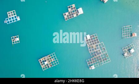 Zattere di bambù e gabbia di pesci in mare, Kampung Kerapu Situbondo, Indonesia Foto Stock