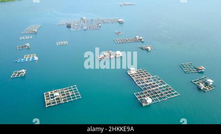 Zattere di bambù e gabbia di pesci in mare, Kampung Kerapu Situbondo, Indonesia Foto Stock