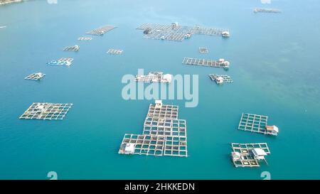 Zattere di bambù e gabbia di pesci in mare, Kampung Kerapu Situbondo, Indonesia Foto Stock