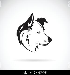 Vettore di un cane collie di confine su sfondo bianco. PET. Animale. Illustrazione vettoriale a livelli facilmente modificabile. Illustrazione Vettoriale