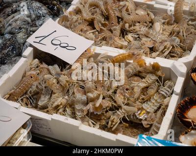 Venezia, Italia - Gennaio 5 2022: Gamberi Canocchie o Squilla Mantis in vendita al mercato del Pesce di Rialto o al mercato del Pesce al minuto a Rialto a Venezia. Foto Stock