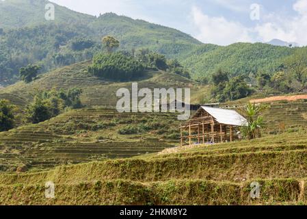 Terrazze di risaie nella Valle di Muong Hoa (Thung Lung Muong Hoa), vicino a Sapa (SA Pa), Provincia di Lao Cai, Vietnam Foto Stock