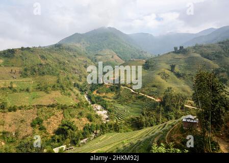 Risaie risaie terrazze e colline ondulate vicino a Sapa (SA Pa), Provincia di Lao Cai, Vietnam, Sud-Est asiatico Foto Stock