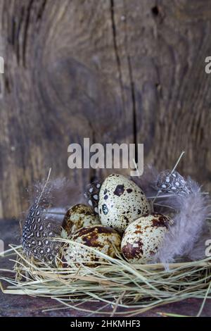 Uova di quaglia in un nido con piume su sfondo di legno. Primo piano. Concetto di Pasqua minimo. Stile rustico. Scheda con spazio per la copia del testo Foto Stock