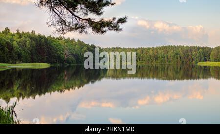 Paesaggio estivo nella selvaggia foresta incontaminata e la superficie specchio dell'acqua, cerchi sull'acqua. Campeggio e pesca. Foto Stock
