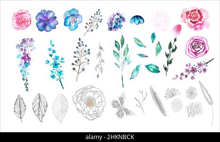 Un set di fiori acquerelli ed elementi floreali. Illustrazione vettoriale Illustrazione Vettoriale