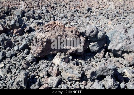 Campi di roccia lavica paesaggio vulcanico los volcanes parco nazionale Lanzarote Isole Canarie Spagna Foto Stock