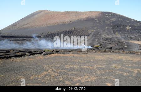 Pareti di pietra che circondano la vite in vigneto sulle pendici del vulcano montana de pena palomas la geria Lanzarote Isole Canarie Spagna Foto Stock