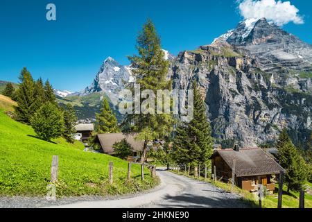 Vista sulla strada e percorso escursionistico vicino a chalet in legno nella famosa località di Murren, valle Lauterbrunnen, Oberland Bernese, Svizzera, Europa Foto Stock