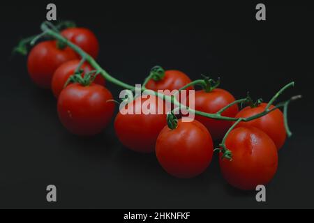 Ramoscello con pomodori ciliegini rossi con fondo nero. Pomodori ciliegini rossi con ramo verde su sfondo nero Foto Stock