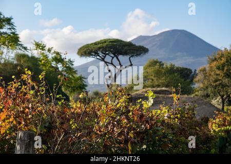 Il Vesuvio visto da Pompei Foto Stock