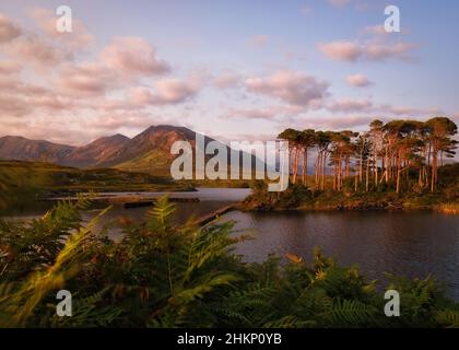 Vista mozzafiato sul lago di montagna di Derryclare al tramonto Foto Stock