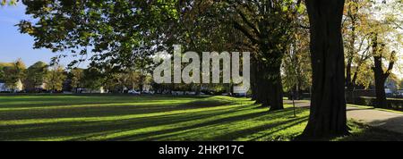 Colori autunnali negli alberi lungo il vasto parco a piedi, King's Lynn, Norfolk, Inghilterra Foto Stock