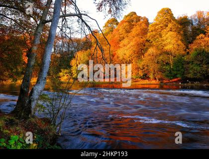 Pittoresco paesaggio autunnale foto della valle di Boyne Foto Stock