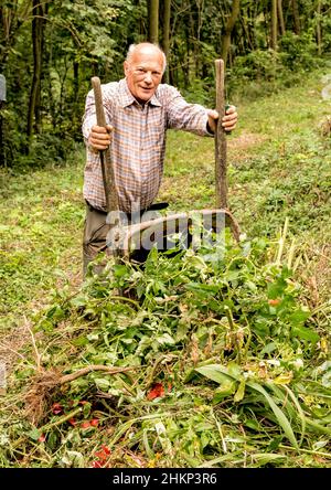 Uomo anziano che trasporta piante antiche ed erba con carriola nel giardino. Pulizia autunnale. Foto Stock