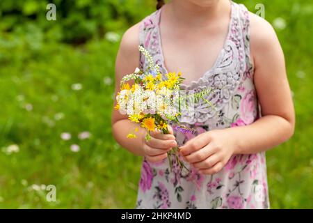 Anonimo non riconoscibile età elementare scuola bambino che tiene un mazzo di fiori di campo colorati ed erbe in mani, primo piano, raccolta di fiori, copia spac Foto Stock