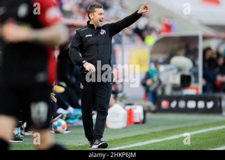 Colonia, Germania. 05th Feb 2022. Calcio: Bundesliga, 1. FC Köln - SC Friburgo, Matchday 21, RheinEnergieStadion: Andre Pawlak, allenatore di Colonia, reagisce ai margini. Credit: Rolf Vennenbernd/dpa - NOTA IMPORTANTE: In conformità con i requisiti della DFL Deutsche Fußball Liga e della DFB Deutscher Fußball-Bund, è vietato utilizzare o utilizzare fotografie scattate nello stadio e/o della partita sotto forma di immagini di sequenza e/o serie di foto video-simili./dpa/Alamy Live News Foto Stock