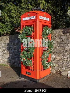 K6 telefono box a Sneyd Park Bristol Regno Unito a Natale disusato come servizio telefonico ma conservato dalla comunità locale come piantatrice stagionale Foto Stock