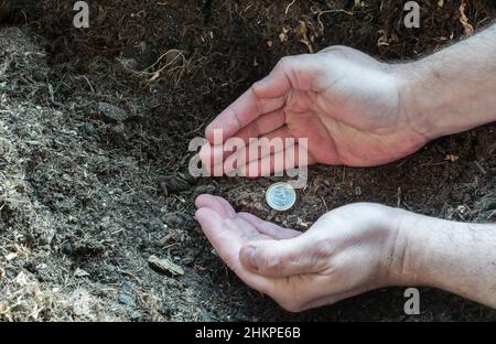 due mani dell'uomo circondano una moneta da un euro seminato in un campo Foto Stock