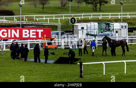 Whydah Gally cavalcato dal jockey Brendan Powell dopo essere caduta all'ultimo ostacolo si rialza durante l'handicap della Virgin Bet Novices all'ippodromo di Sandown Park. Data foto: Sabato 5 febbraio 2022. Foto Stock