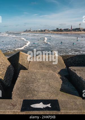 Scheveningen, Olanda del Sud, Paesi Bassi: Il fondo del molo e lezioni di surf in primo piano. Foto Stock