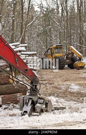 Skidder e caricatore Knuckleboom per log o logging con tronchi di legno appena raccolti e impilati Foto Stock