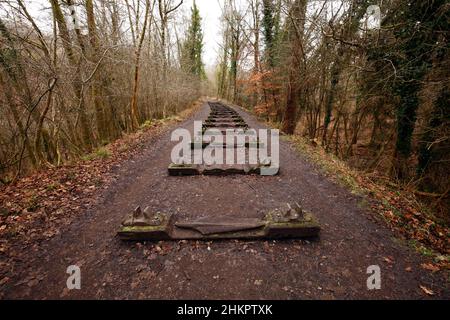 Una mostra Foresta di Dean Sculpture Trail. Binari scolpiti che riflettono il patrimonio industriale della foresta. Iron Road, Beechenhurst. Foto Stock