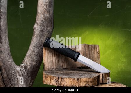 Coltello da caccia con lama fissa su un moncone. Coltello con manico nero. Vecchio moncone asciutto. Foto Stock